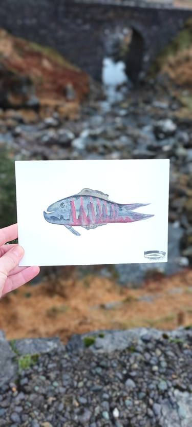 Print of Illustration Fish Paintings by oksana Fedorchuk