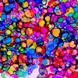 Where Color Gathers by Mary Lawrence