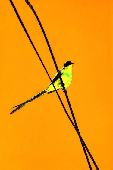 Original Abstract Expressionism Animal Digital by Sergio Cerezer