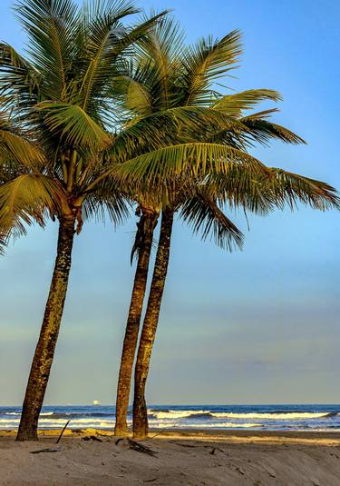 Print of Beach Photography by Sergio Cerezer