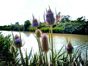 Print of Landscape Photography by Sergio Cerezer