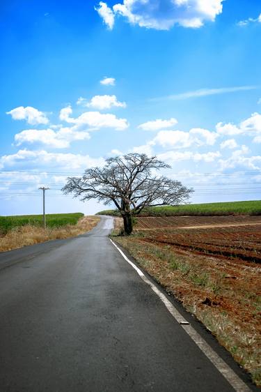 Print of Conceptual Landscape Photography by Sergio Cerezer