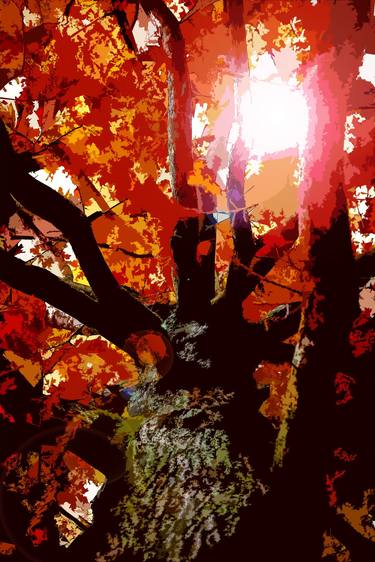 Original Abstract Expressionism Tree Digital by Sergio Cerezer