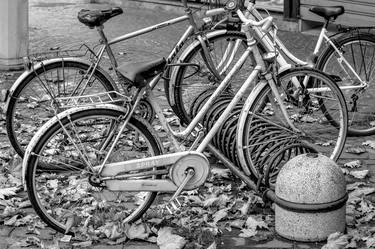 Print of Conceptual Bicycle Photography by Sergio Cerezer