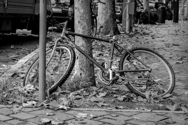 Print of Bicycle Photography by Sergio Cerezer