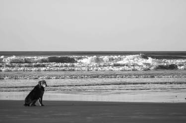 Print of Beach Photography by Sergio Cerezer