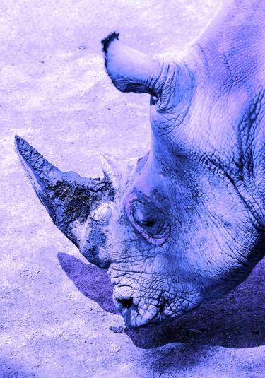 Original Abstract Expressionism Animal Photography by Sergio Cerezer