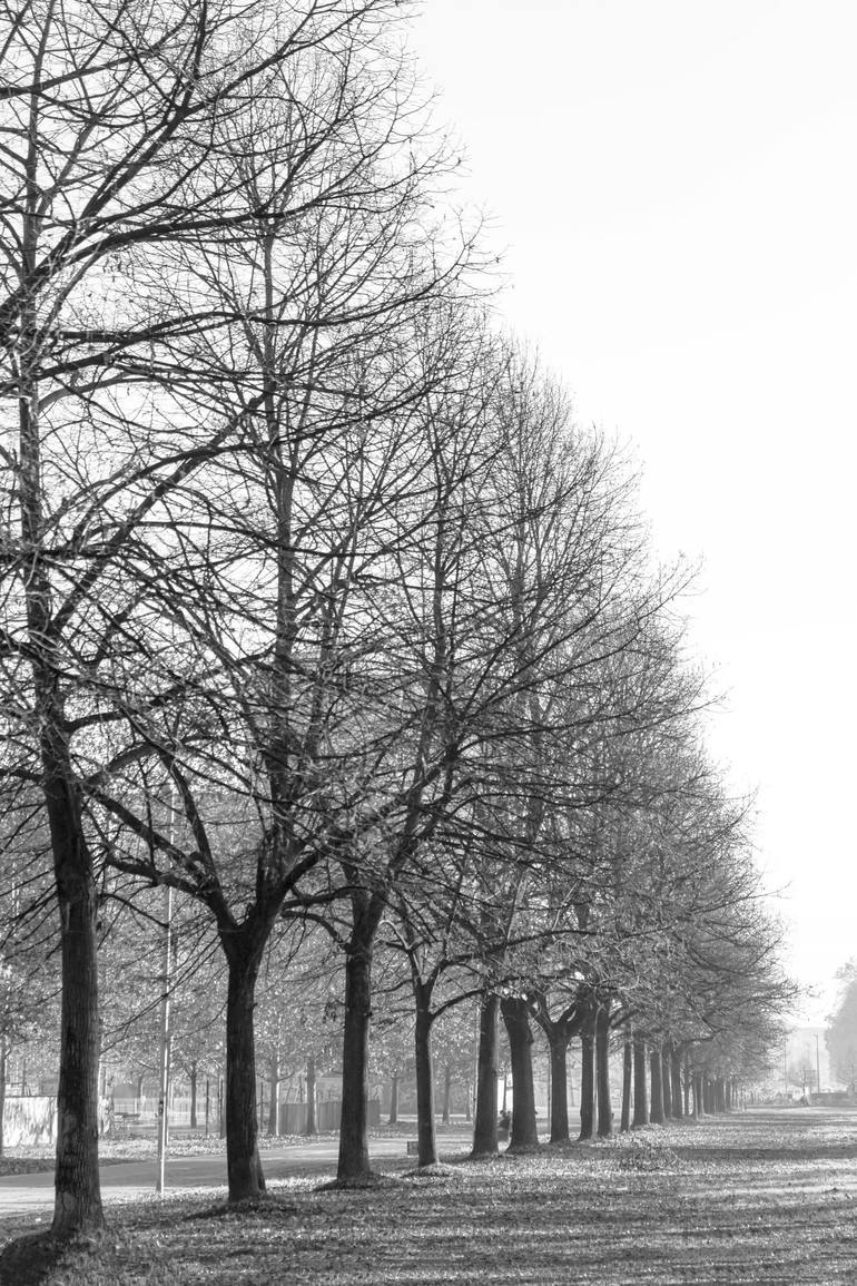 Original Garden Photography by Sergio Cerezer | Abstract Expressionism Art on Paper | The Tree of Knowledge