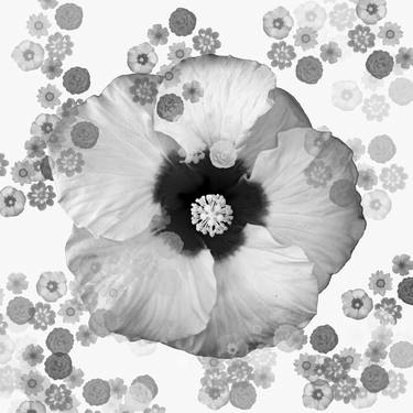 Original Abstract Expressionism Floral Digital by Sergio Cerezer