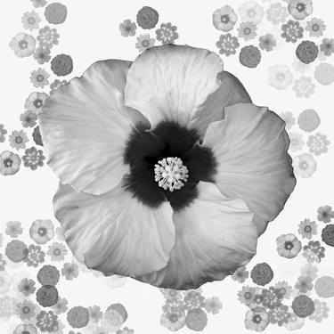 Print of Floral Digital by Sergio Cerezer