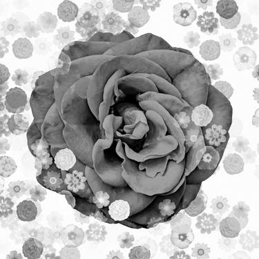 Original Abstract Floral Digital by Sergio Cerezer