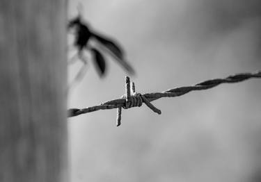 Original Conceptual Rural life Photography by Sergio Cerezer