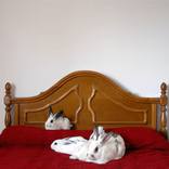 Wedding present - Limited Edition of 5 by María Blanco