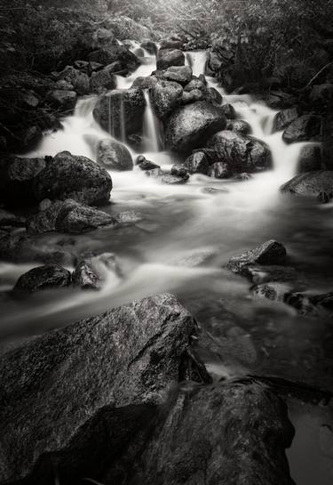 Print of Fine Art Nature Photography by Thomas Pohlig