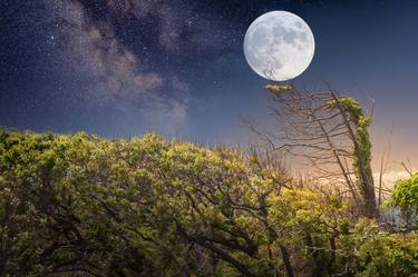 Print of Beach Photography by Thomas Pohlig