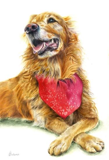 Golden Retriever Dimple, Dog portrait thumb