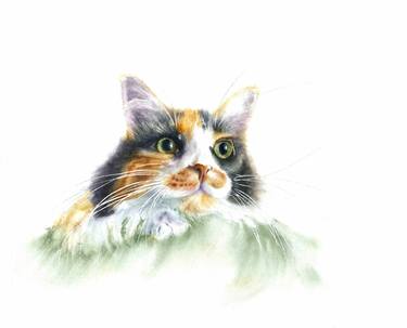 Original Fine Art Cats Paintings by Yuliya Ozdemir