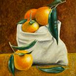 Collection Still life