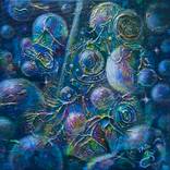 Collection Galaxy