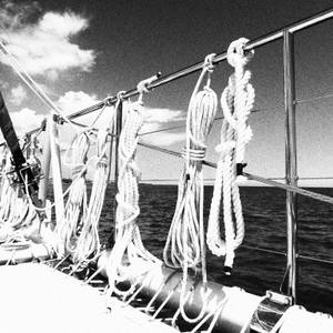Collection Catamaran