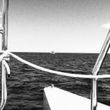 Collection Catamaran
