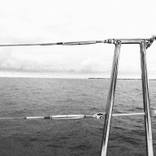Collection Catamarans off the Yucatán