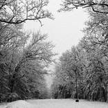 Collection Michigan