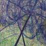 The artwork without passe-partout: 15,5 cm x 24 cm