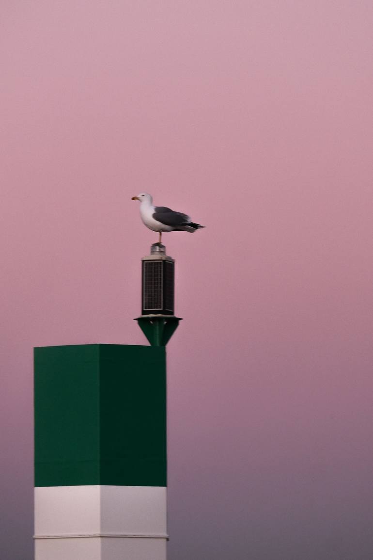 Original Beach Photography by Gilliard Bressan | Contemporary Art on Paper | Guardian of the Sunset