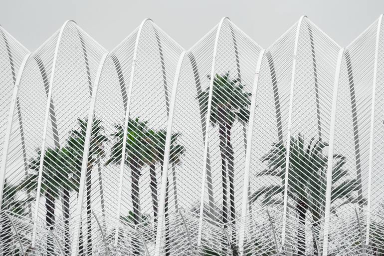 Original Architecture Photography by Gilliard Bressan | Contemporary Art on Paper | Lines and Leaves