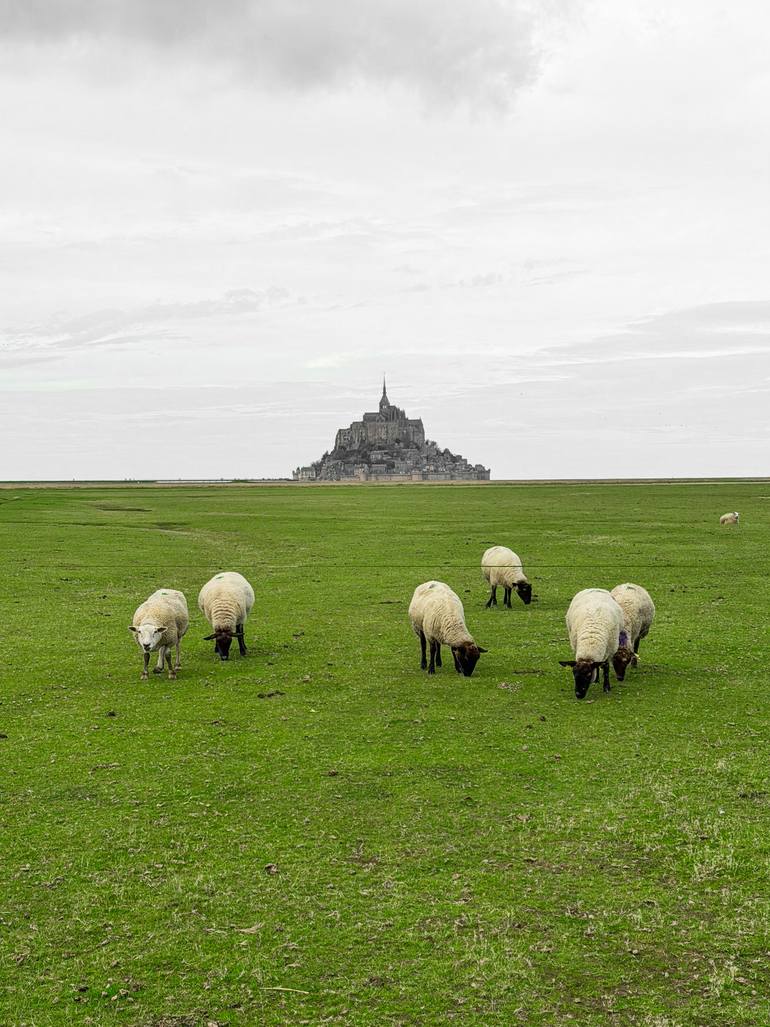 Original Architecture Photography by Gilliard Bressan | Contemporary Art on Paper | Sheep, Land, and Spire