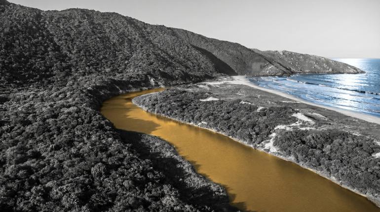 Original Nature Photography by Gilliard Bressan | Contemporary Art on Paper | Liquid Alchemy V: Golden Way to the Sea