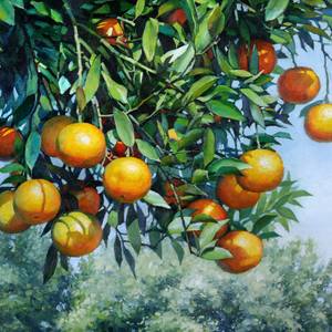 "Seclusion" Tangerine Tree Oil Artwork