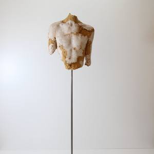 recycled rainbow lifecasting no. 1
