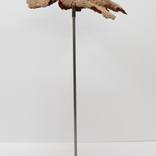 Collection Digital Exhibition: Sculpture
