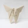 Backside Origami Butterfly with Signature