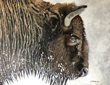 Bison in Winter thumb