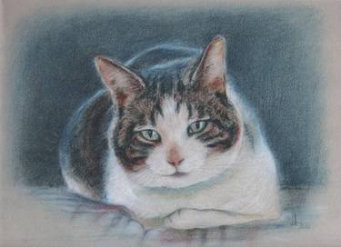 Original Figurative Cats Printmaking by Jorge Bandarra