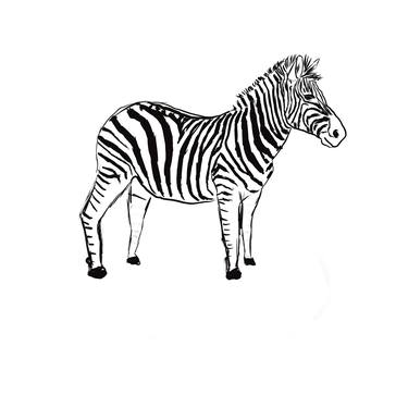 Zebra for all the good mutations thumb