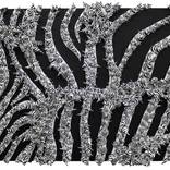 Double Zebraphore by Seren Morey