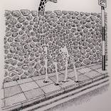 Collection Prints < $100: Animals