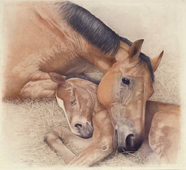 Original Realism Horse Drawing by James Dailey