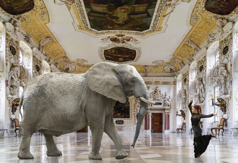 View in a Room Artwork