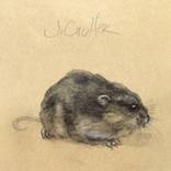 Mouse by Jerry Coulter