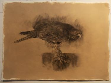 Original Fine Art Animal Drawings by Jerry Coulter