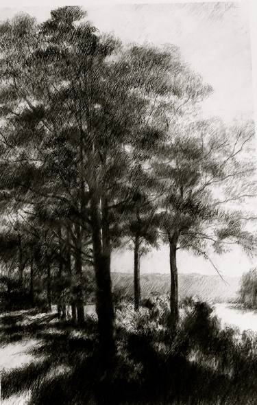 Original Fine Art Landscape Drawings by Jerry Coulter