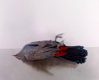 Original Fine Art Animal Paintings by Jerry Coulter