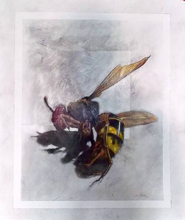 Original Fine Art Animal Drawings by Jerry Coulter