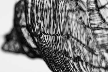 Original Black & White Abstract Photography by Cecilia Cletus