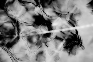 Print of Abstract Water Photography by Cecilia Cletus